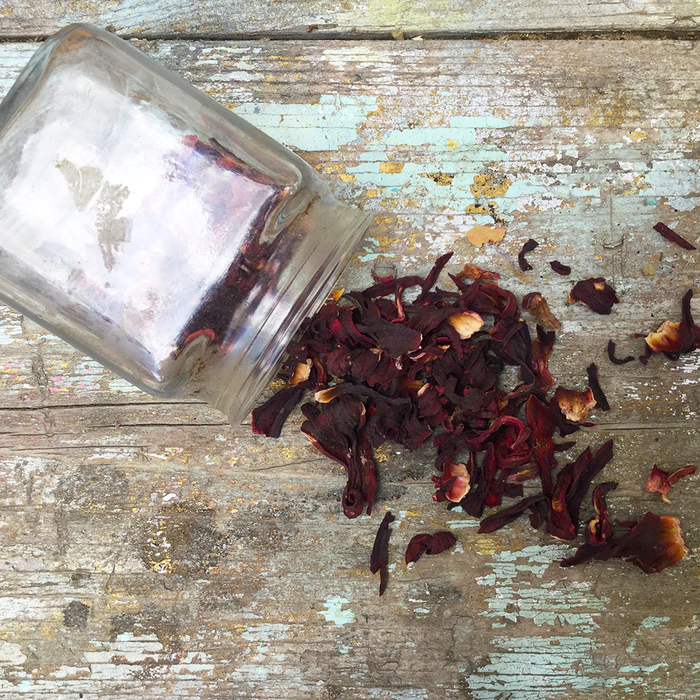 Creativity Has Seasons - Artist Interview with Jess Webb