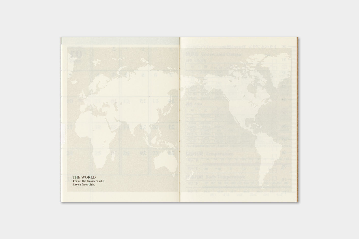 TRAVELER'S notebook Passport Size 2027 Monthly Diary world map page