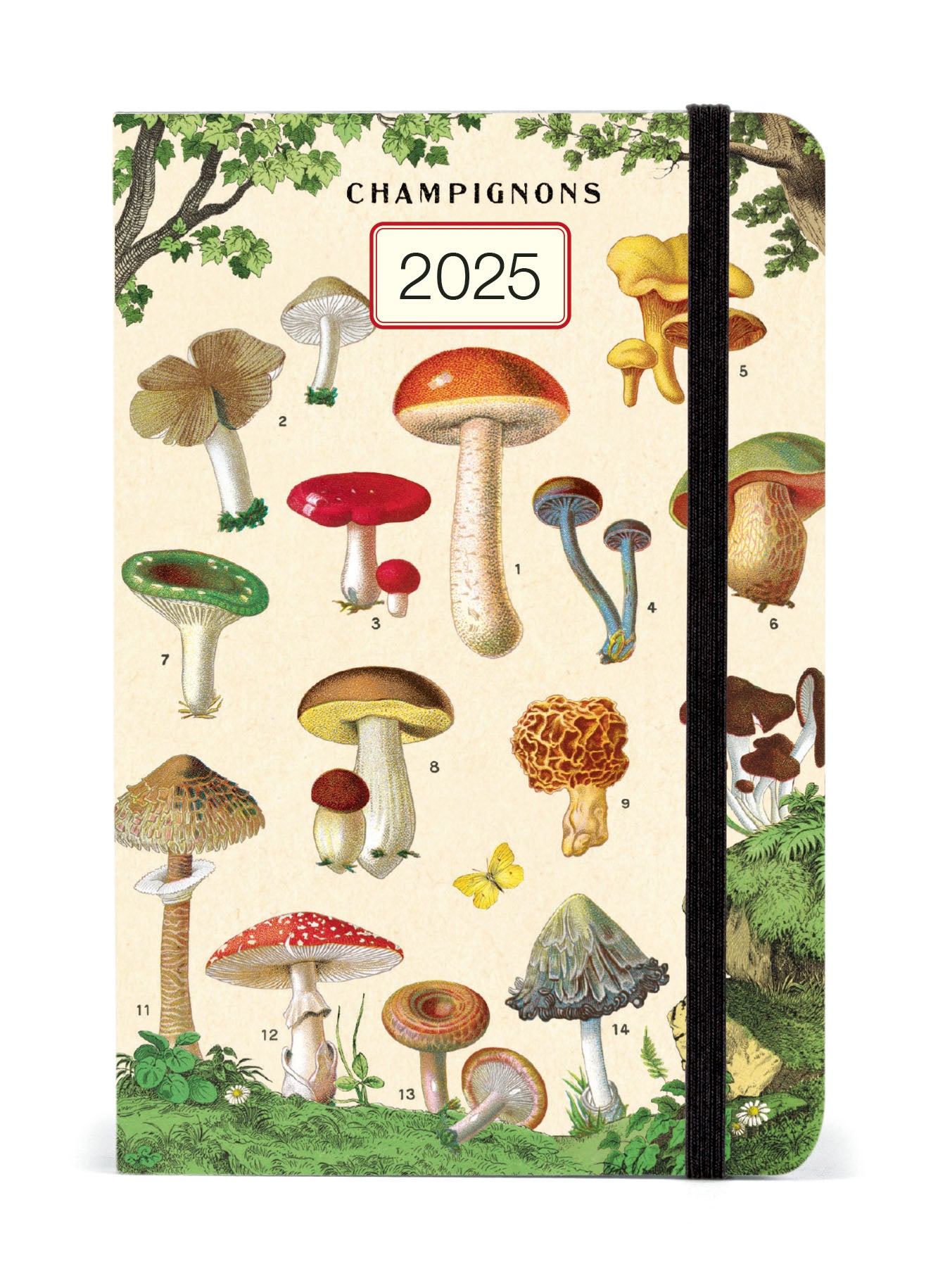 2025 Cavallini & Co. Mushrooms Weekly Planner