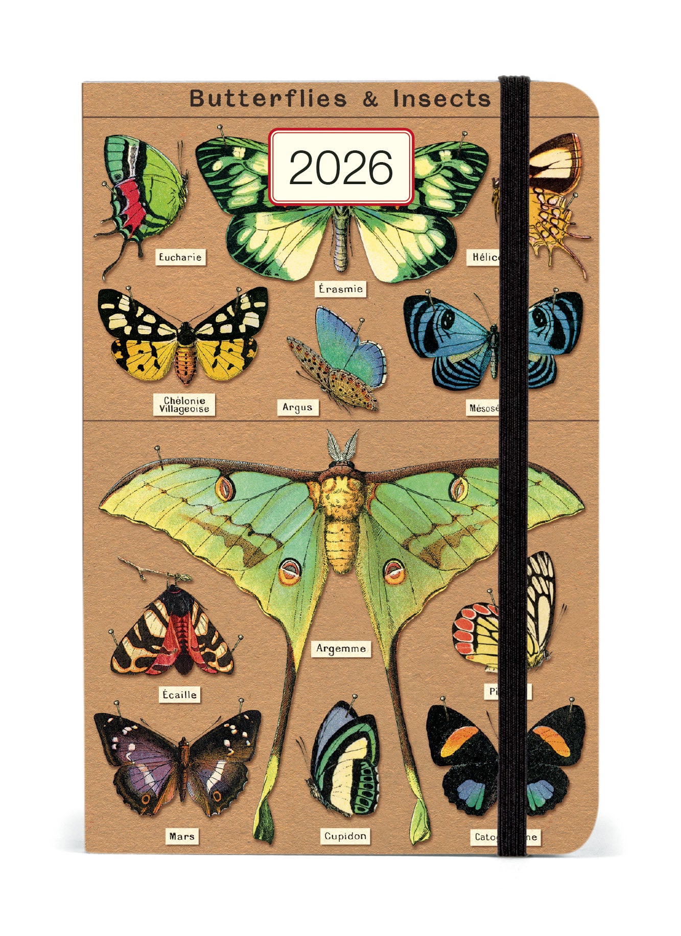 2026 Cavallini & Co. Entomology Weekly Planner