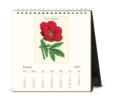 2025 Cavallini & Co. Botanica Desk Calendar January page