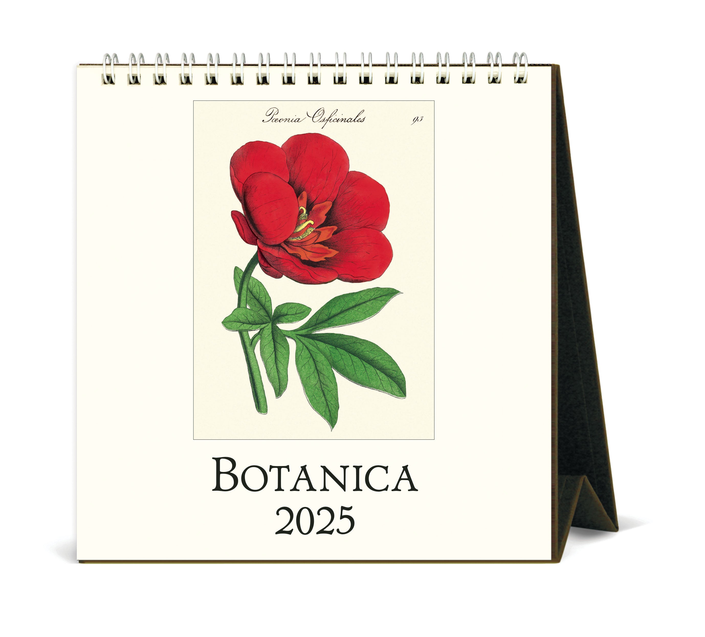 2025 Cavallini & Co. Botanica Desk Calendar front cover