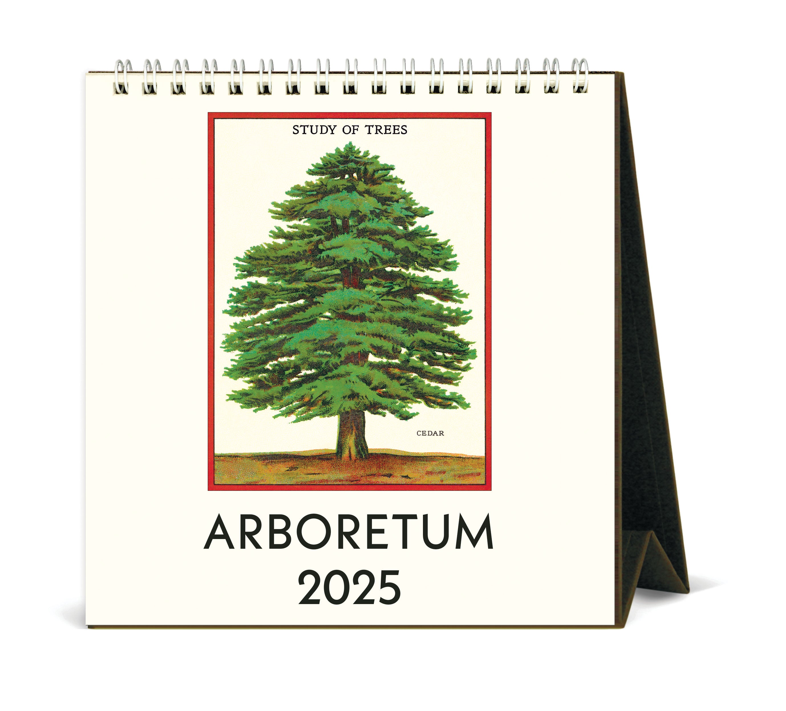 2025 Cavallini & Co. Arboretum Desk Calendar