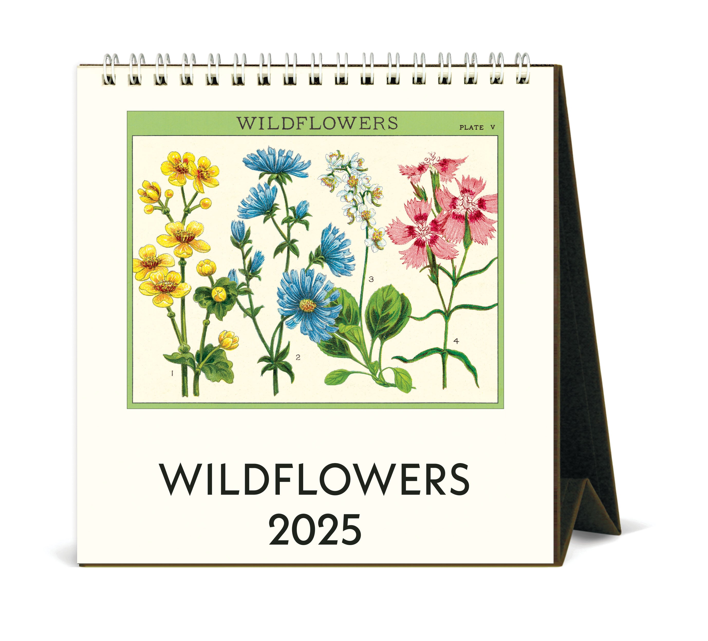 2025 Cavallini & Co. Wildflowers Desk Calendar front cover image