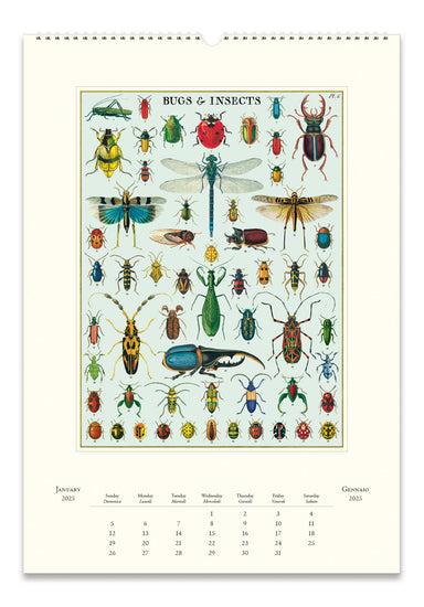 NEW for 2025! Cavallini & Co. Bugs & Insects Wall Calendar january page