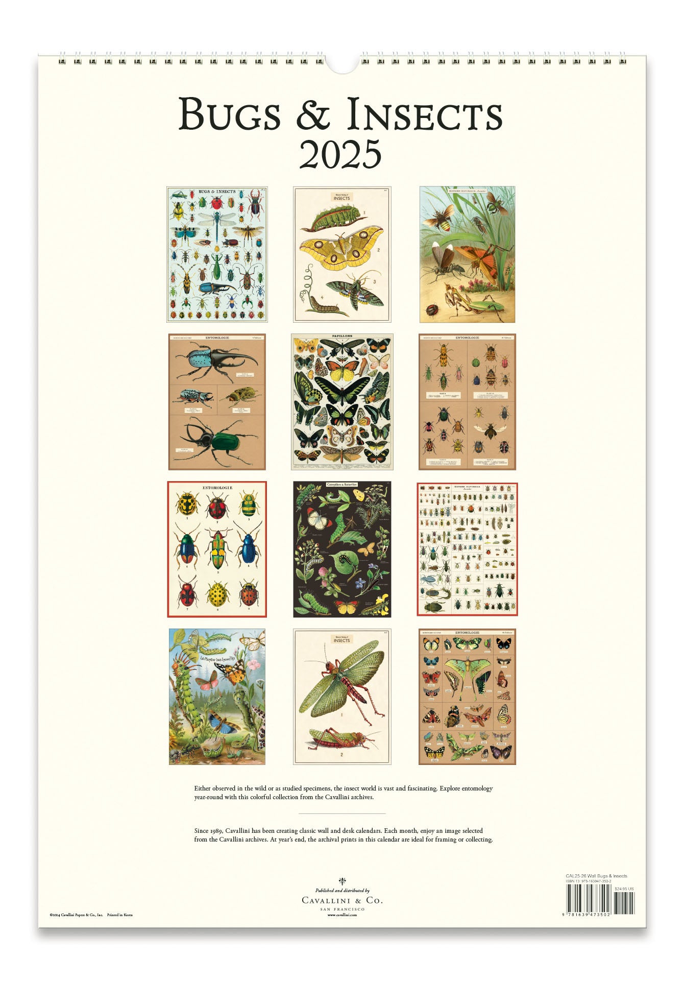 Back cover of 2025 Cavallini & Co. Bugs & Insects Wall Calendar