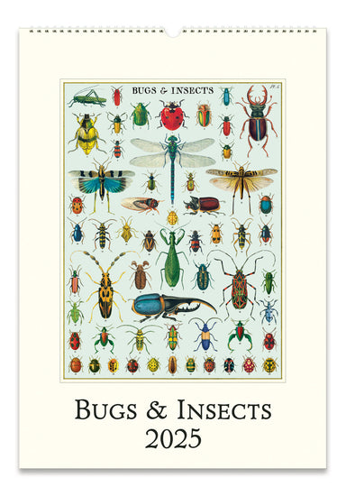 NEW for 2025! Cavallini & Co. Bugs & Insects Wall Calendar front cover