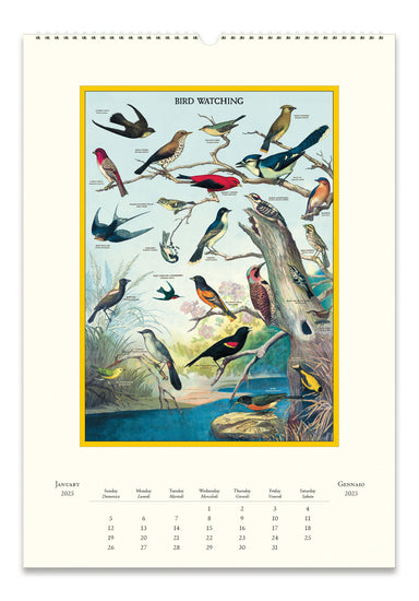 NEW for 2025! Cavallini & Co. Birdwatching Wall Calendar