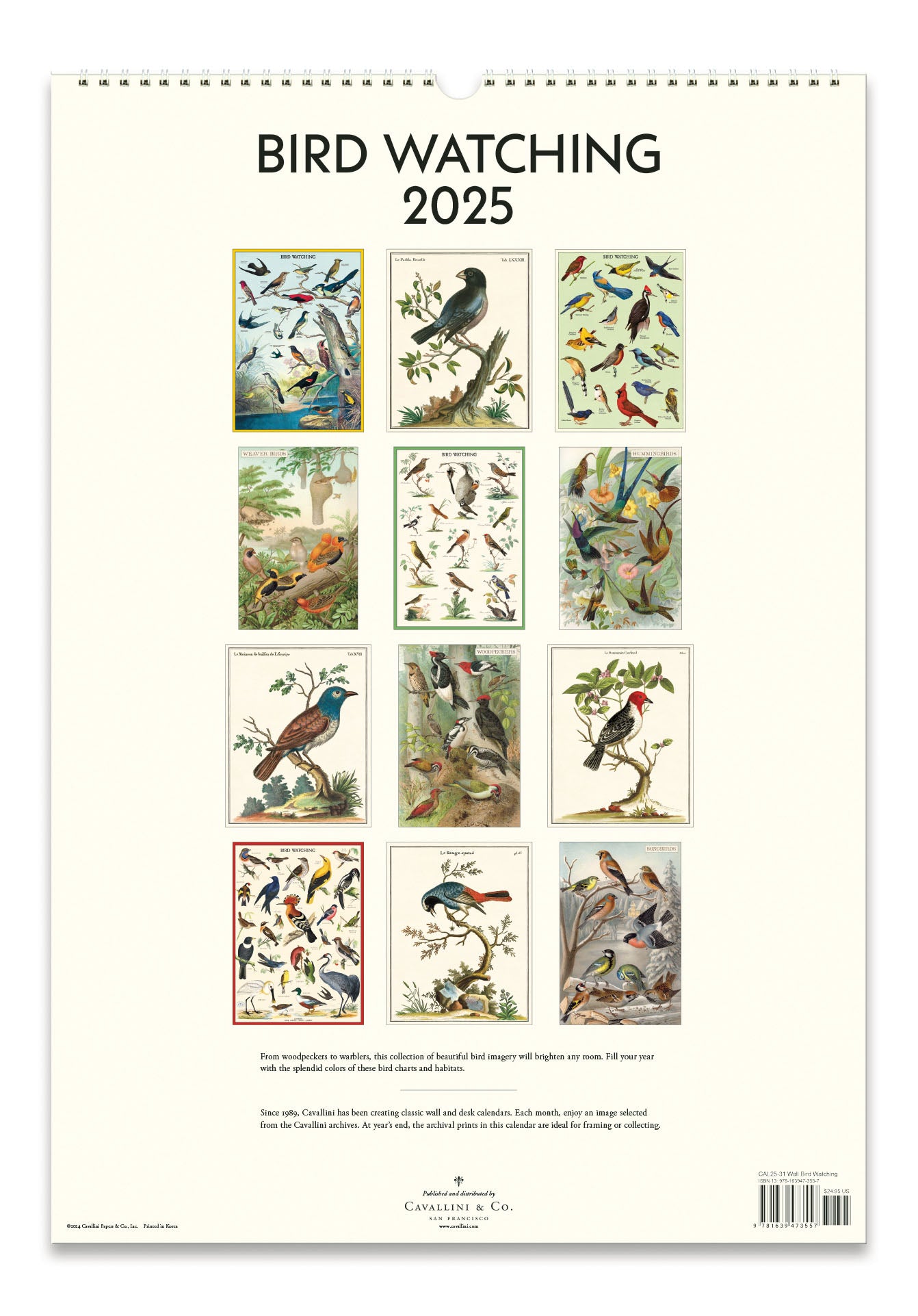 NEW for 2025! Cavallini & Co. Birdwatching Wall Calendar- image showing back cover