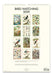 NEW for 2025! Cavallini & Co. Birdwatching Wall Calendar- image showing back cover