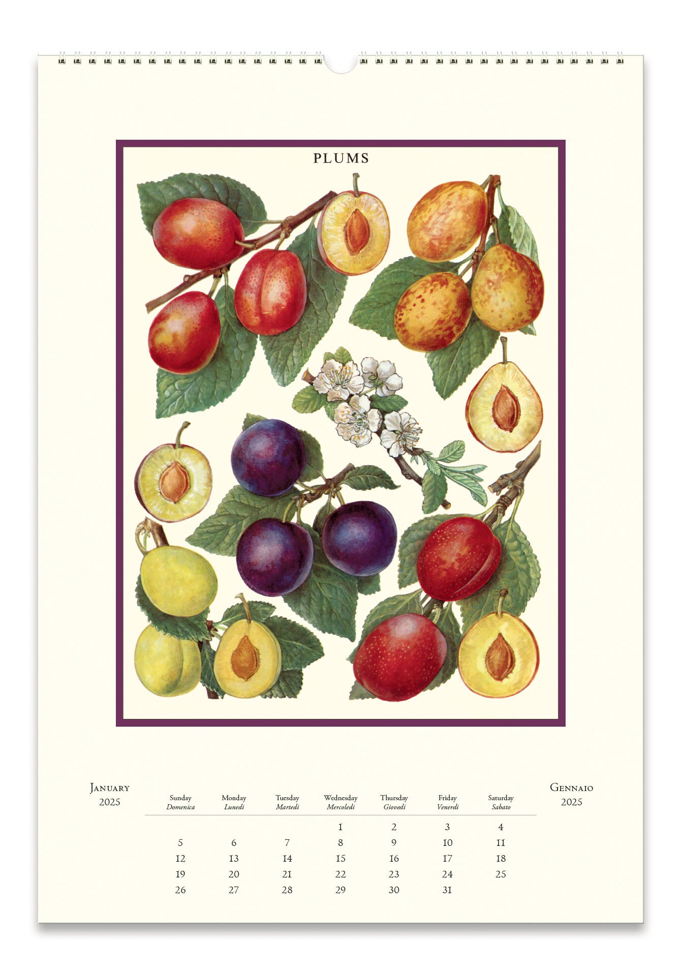 2025 Cavallini & Co. Farmer's Market Wall Calendar january page