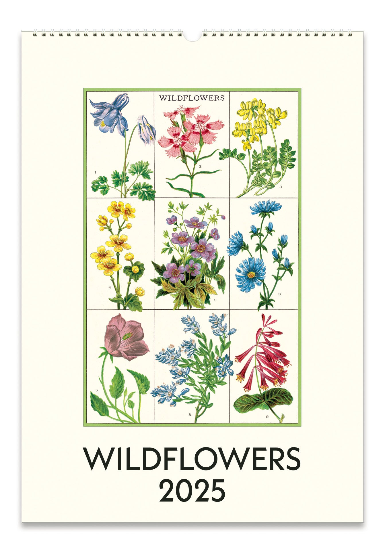 2025 Cavallini & Co. Wildflowers Wall Calendar