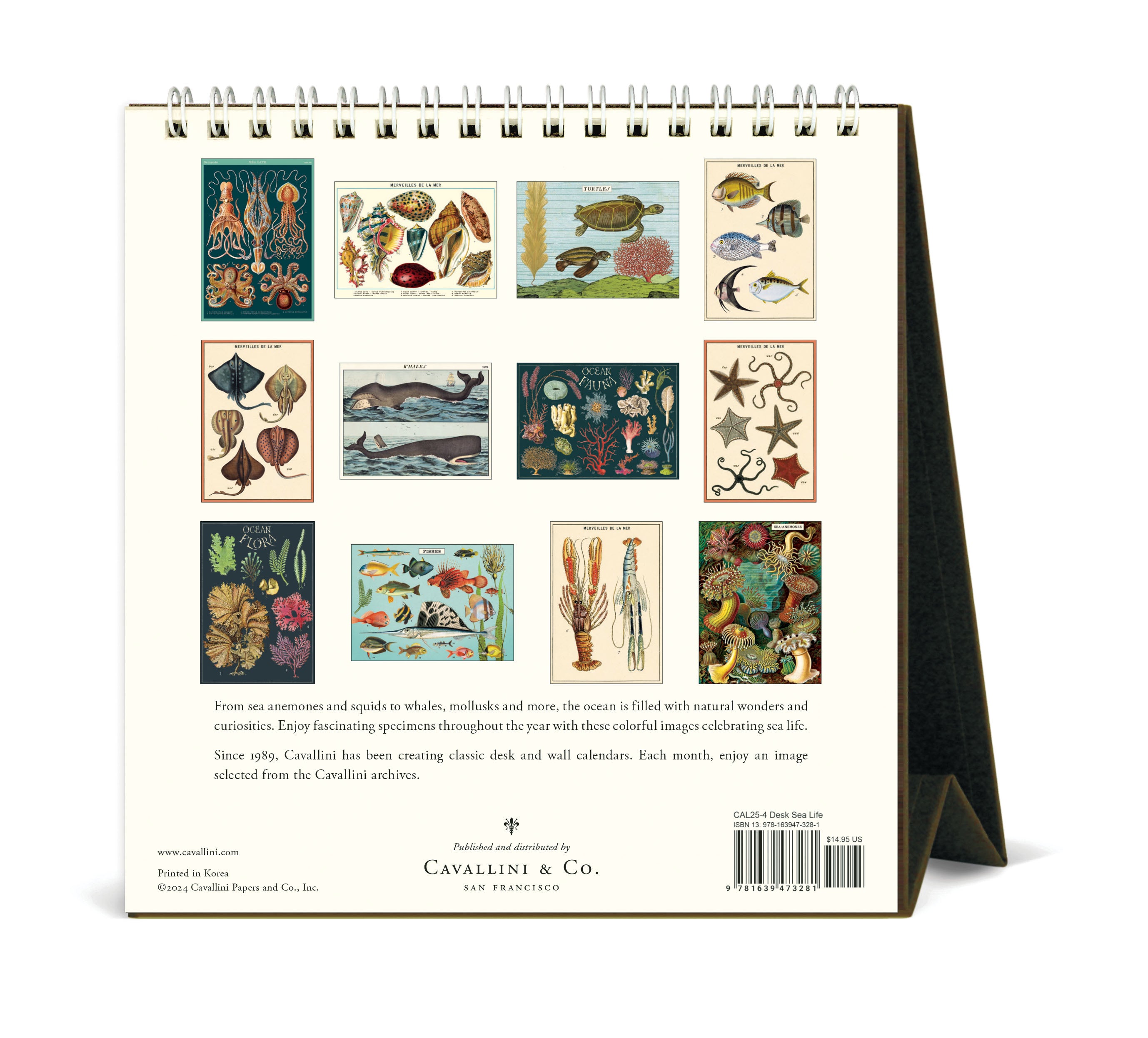 2025 Cavallini & Co. Sea Life Desk Calendar-back cover.