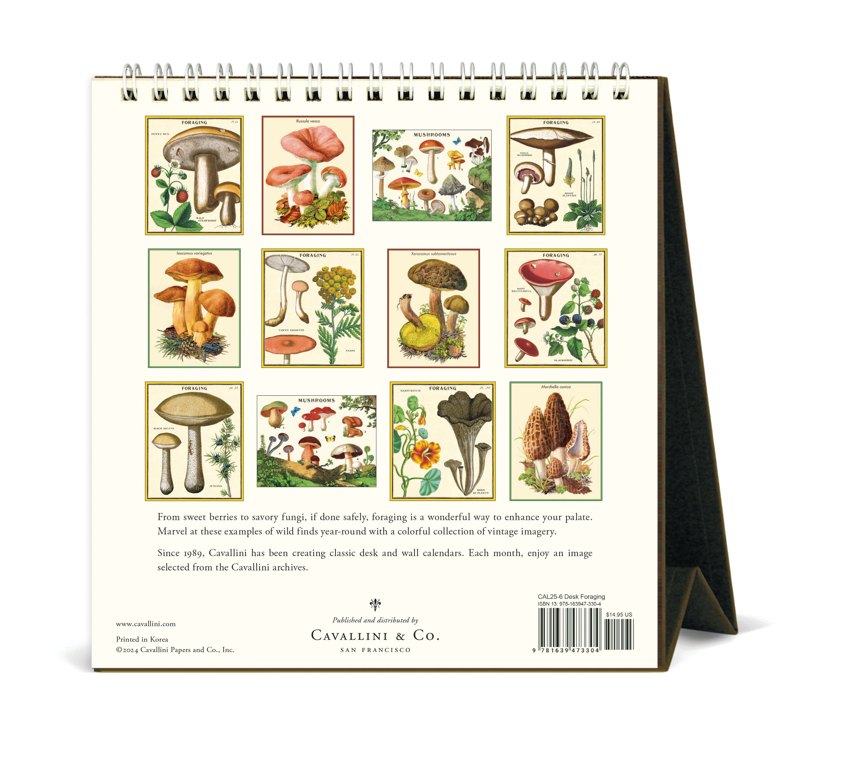 2025 Cavallini & Co. Foraging Desk Calendar- back cover.