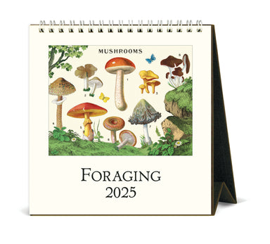 2025 Cavallini & Co. Foraging Desk Calendar- NEW for 2025 front cover