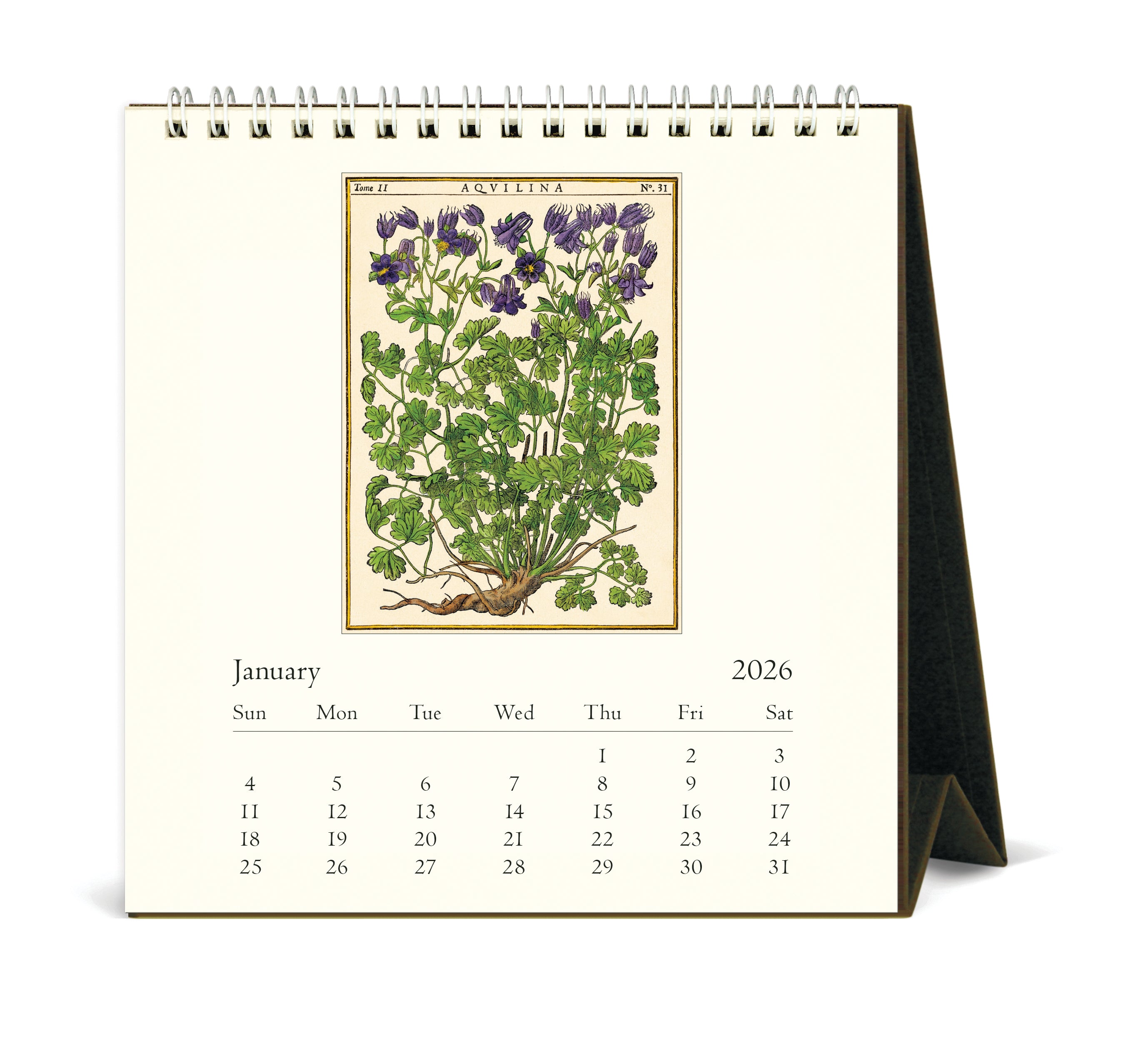 2026 Cavallini & Co. Herbarium Desk Calendar january 2026 image