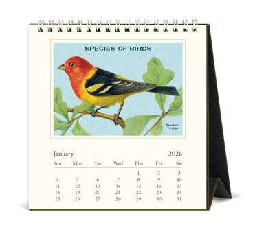 2026 Cavallini & Co. Vintage Birds Desk Calendar january page