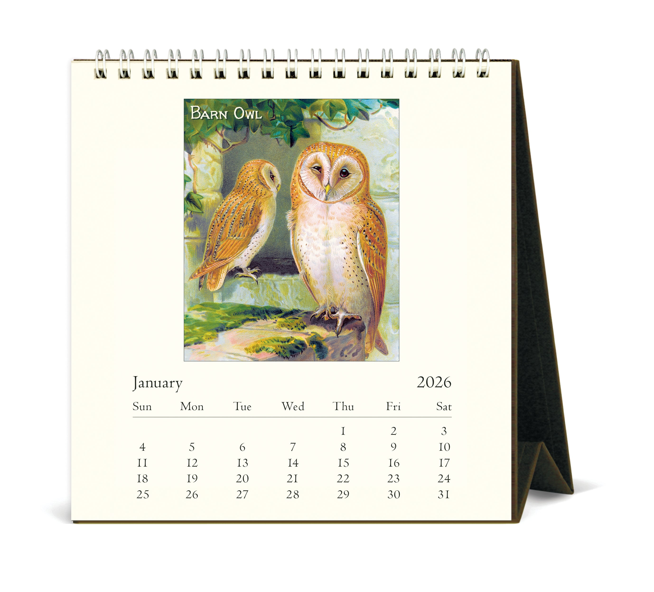2026 Cavallini & Co. Vintage Owls Desk Calendar January image