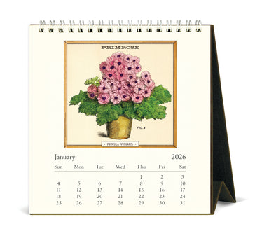 2026 Cavallini & Co. Jardiniere Desk Calendar January image