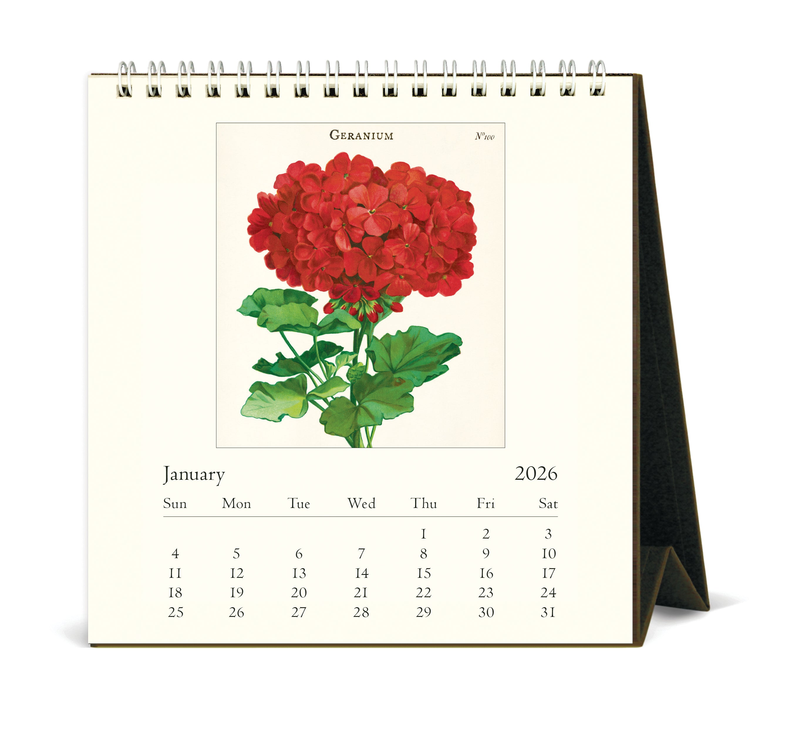 2026 Cavallini & Co. Botanica Desk Calendar January image with red geranium