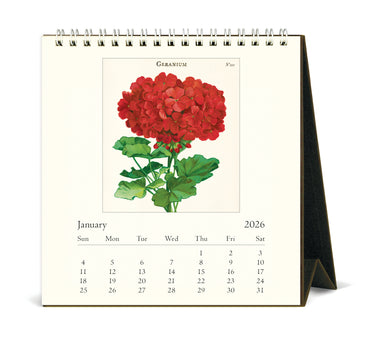 2026 Cavallini & Co. Botanica Desk Calendar January image with red geranium
