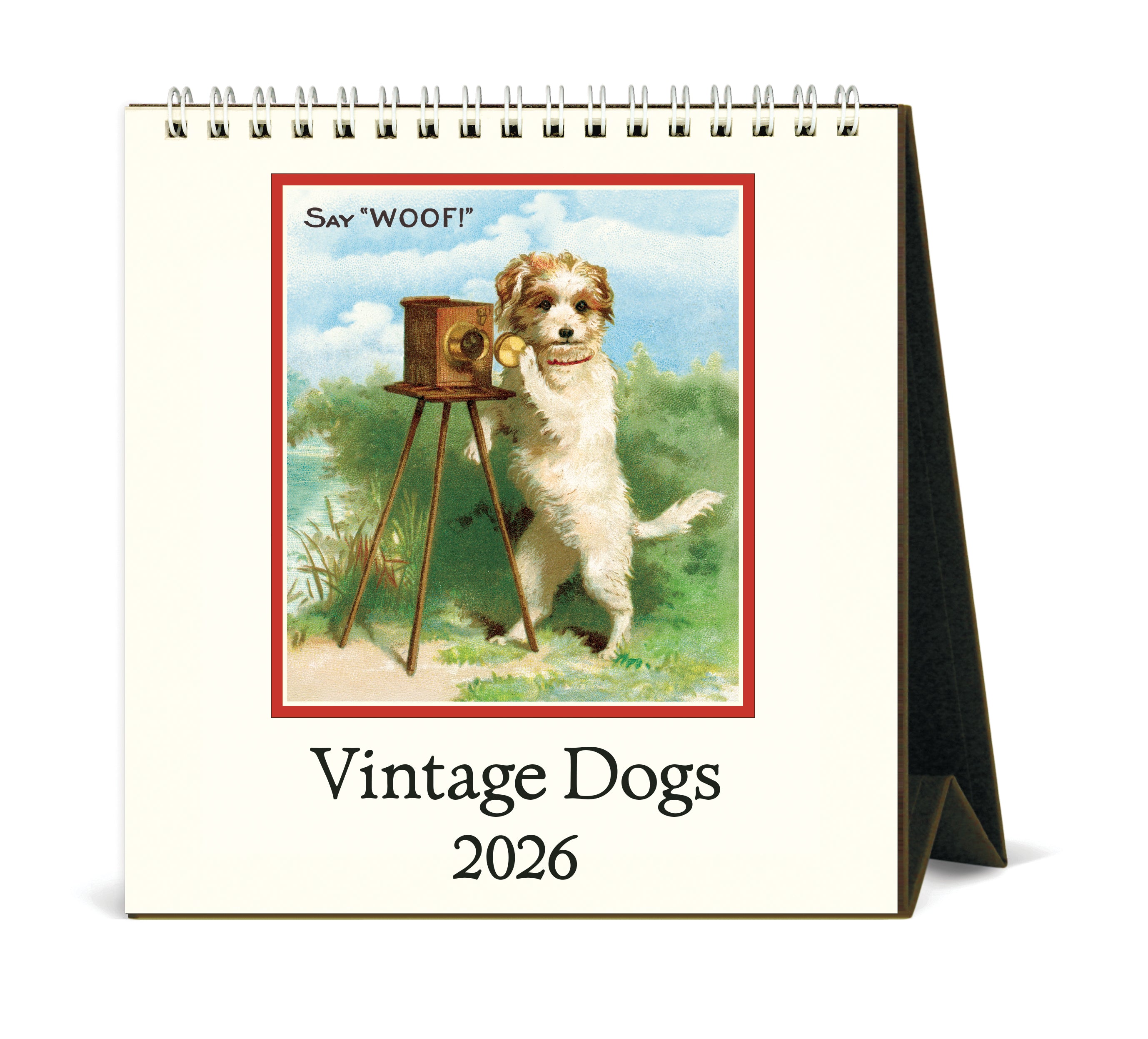 2026 Cavallini & Co. Vintage Dogs Desk Calendar front cover image