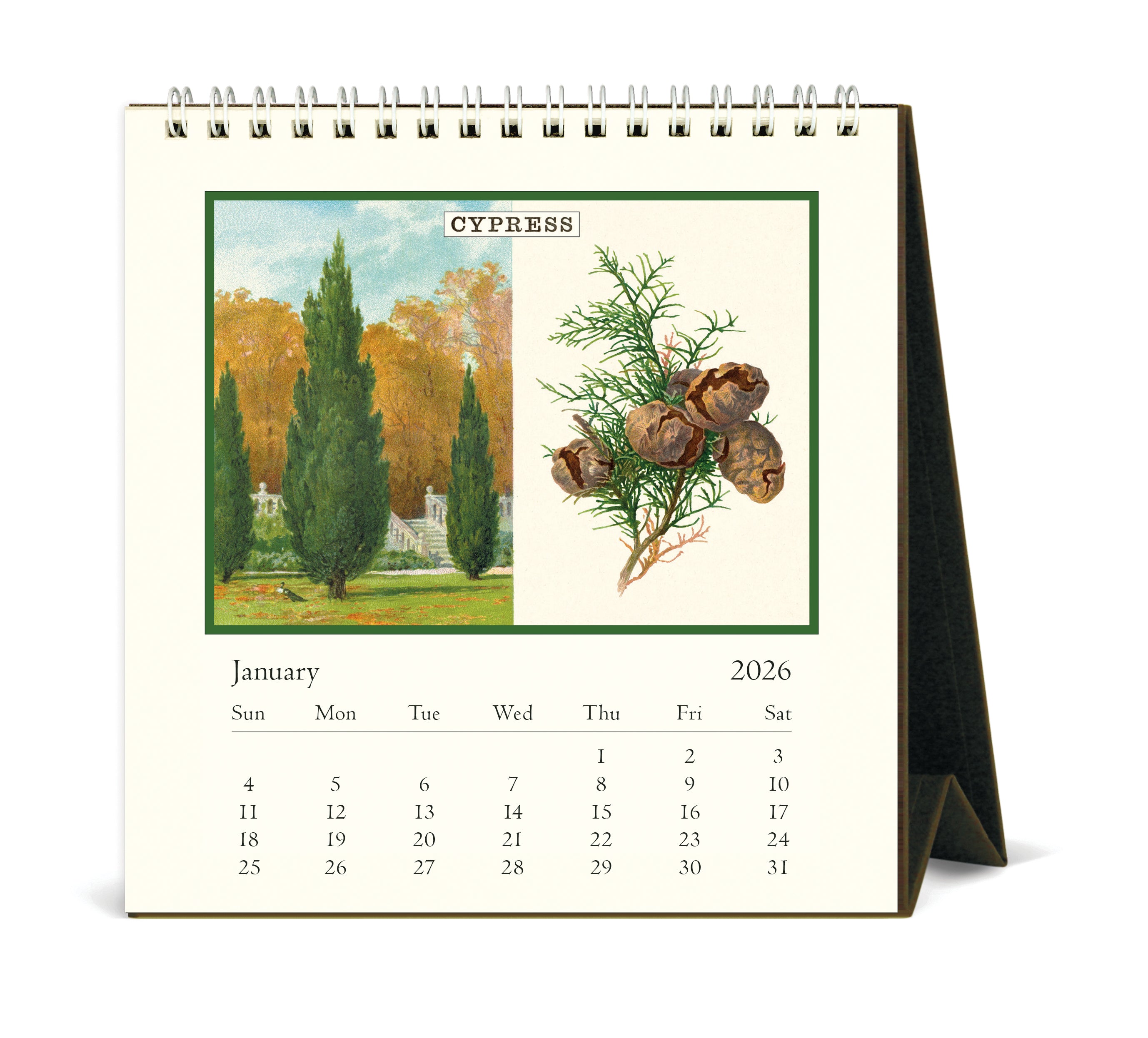 2026 Cavallini & Co. Arboretum Desk Calendar january image