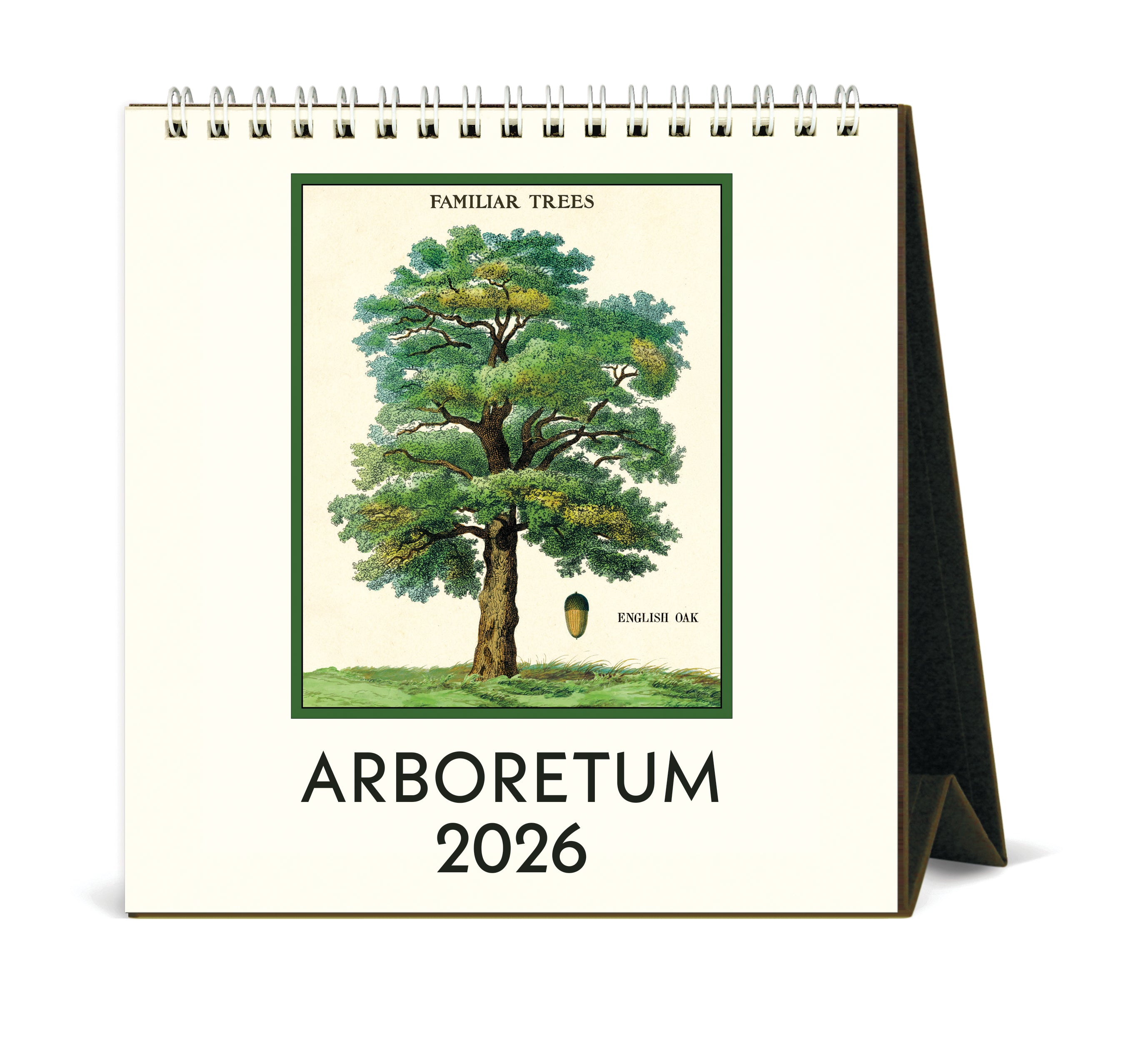 2026 Cavallini & Co. Arboretum Desk Calendar front cover image with tree
