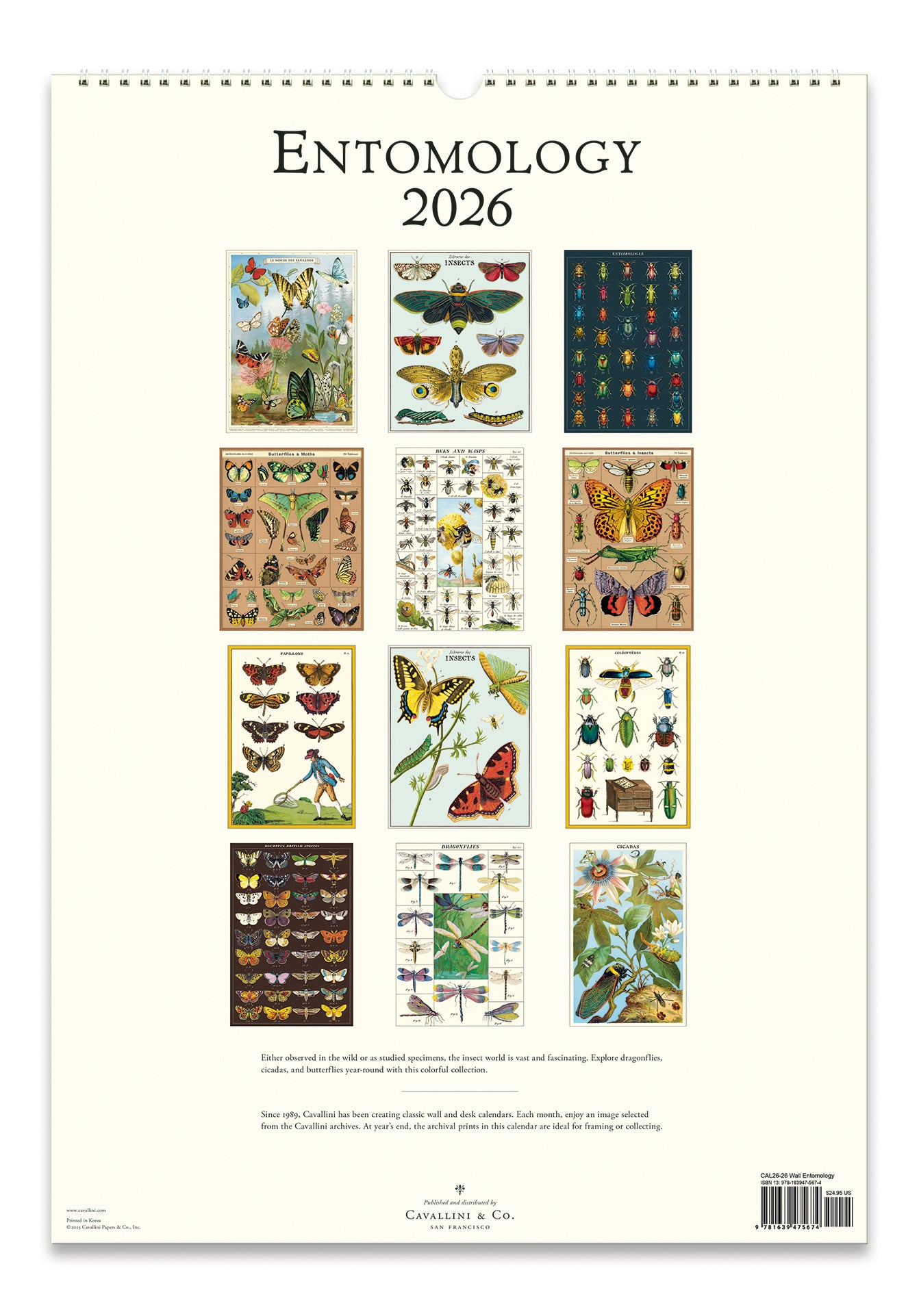 2026 Cavallini & Co. Entomology Wall Calendar back cover image showing all month's illustrations