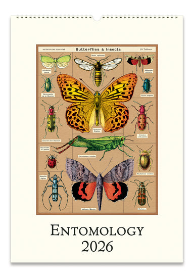 2026 Cavallini & Co. Entomology Wall Calendar- cover featuring illustrations of butterflies and insects with 'Entomology 2026' text.