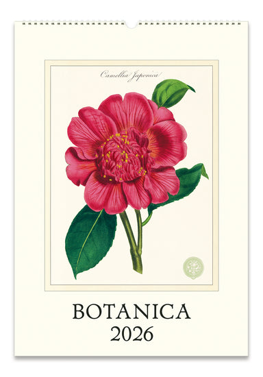 2026 Cavallini & Co. Botanica Wall Calendar- front cover image with a pink flower illustration on a white background