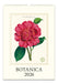2026 Cavallini & Co. Botanica Wall Calendar- front cover image with a pink flower illustration on a white background