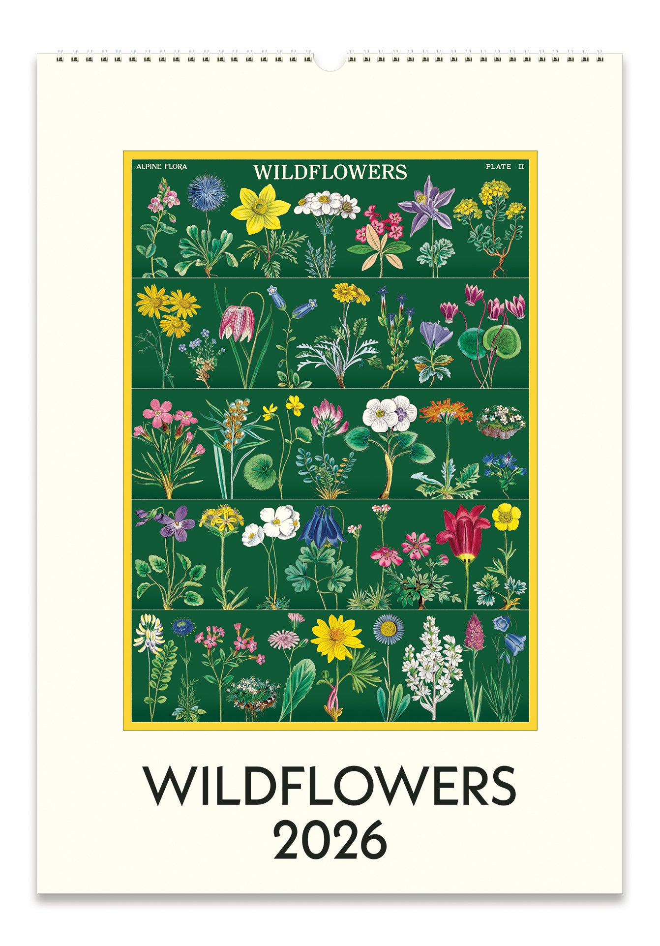 2026 Cavallini & Co. Wildflowers Wall Calendar front cover image