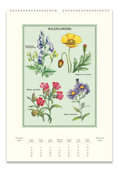 2026 Cavallini & Co. Wildflowers Wall Calendar January page image