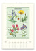2026 Cavallini & Co. Wildflowers Wall Calendar January page image