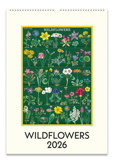 2026 Cavallini & Co. Wildflowers Wall Calendar front cover image