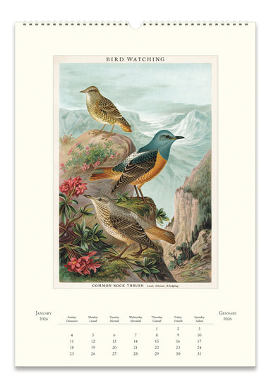 Cavallini & Co. 2026 Birdwatching Wall Calendar January page image