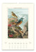 Cavallini & Co. 2026 Birdwatching Wall Calendar January page image