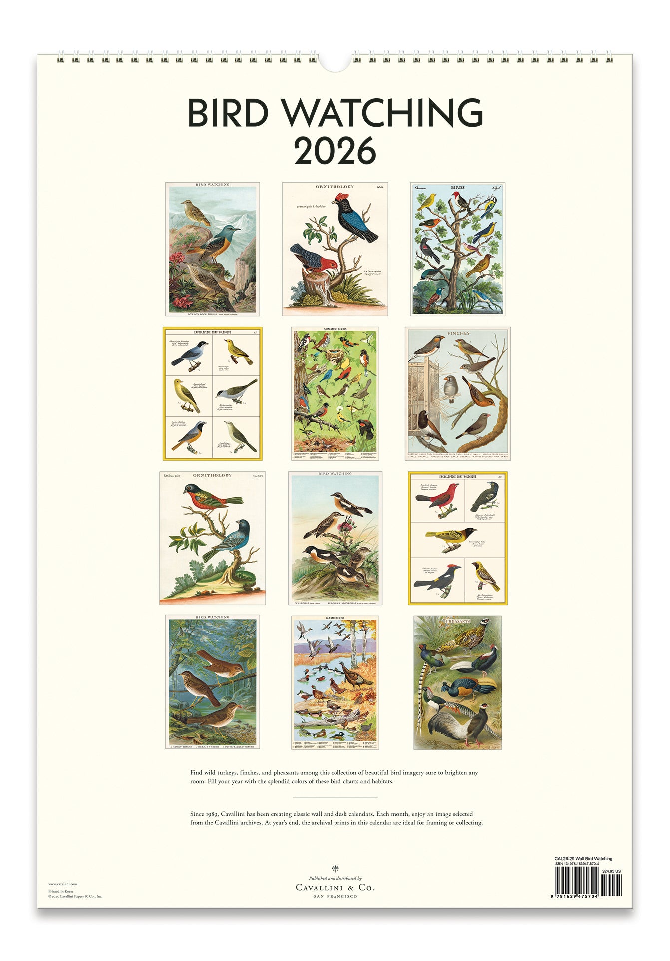 Cavallini & Co. 2026 Birdwatching Wall Calendar back cover image