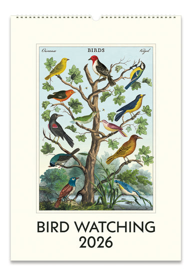 Cavallini & Co. 2026 Birdwatching Wall Calendar front cover image