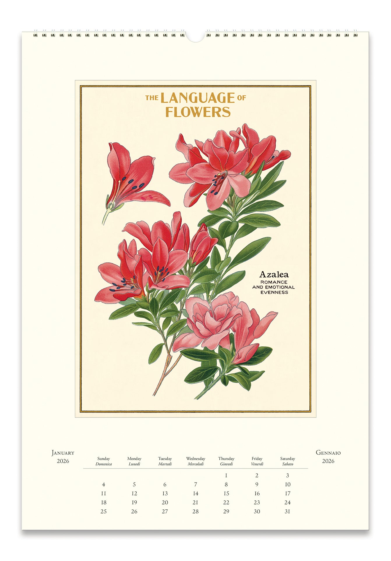 2026 Cavallini & Co. Language of Flowers Wall Calendar- January page image