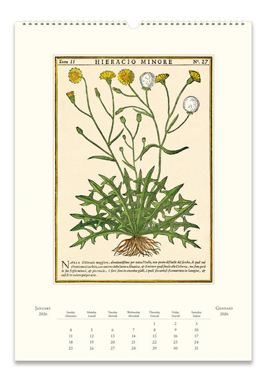 2026 Cavallini & Co. Herbarium Wall Calendar january image
