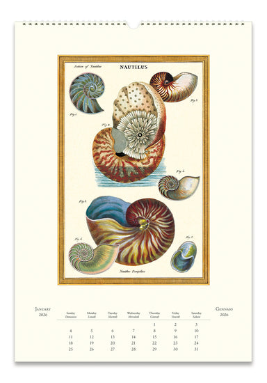 2026 Cavallini & Co. Sea Life Wall Calendar january image