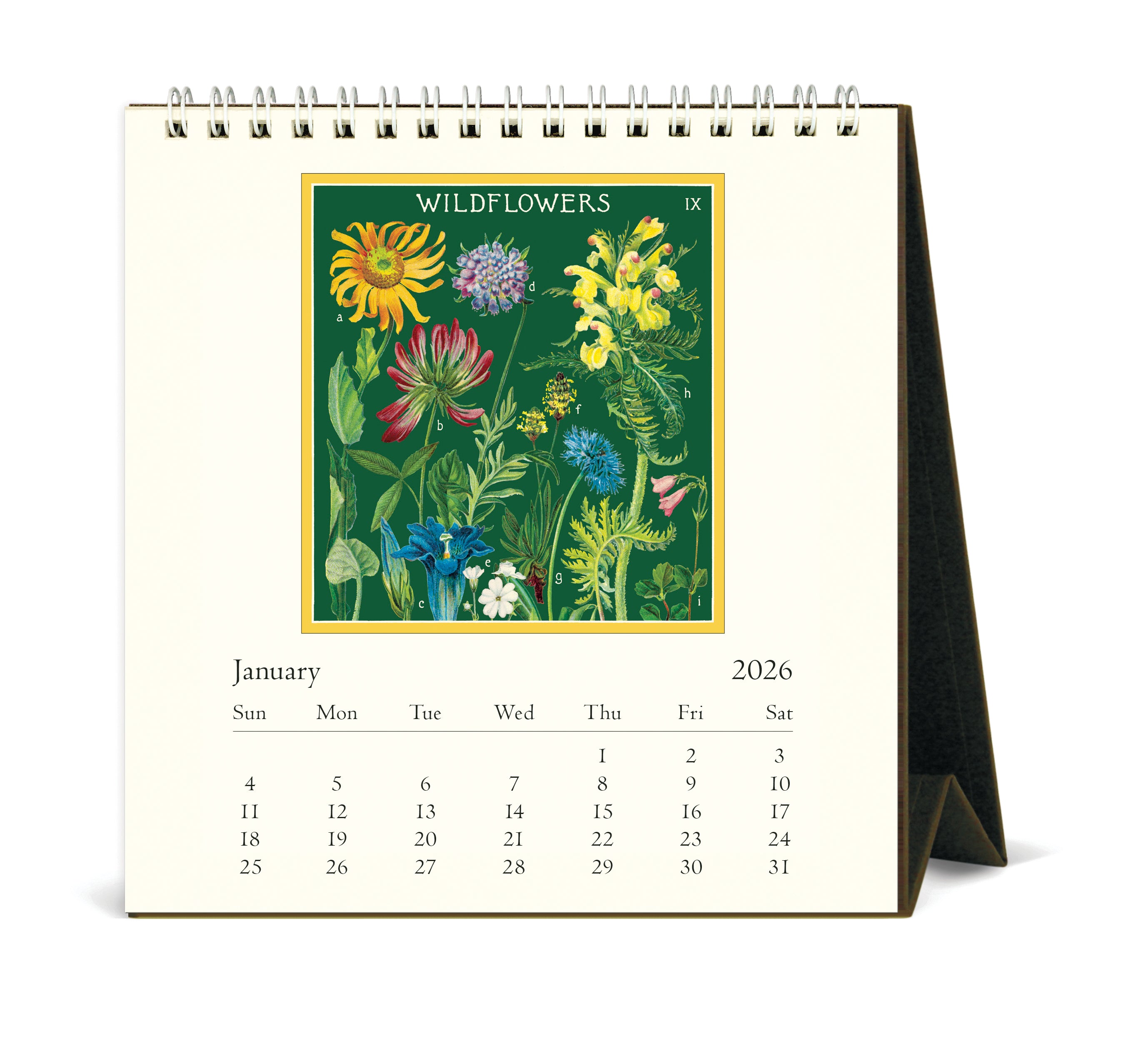2026 Cavallini & Co. Wildflowers Desk Calendar January image