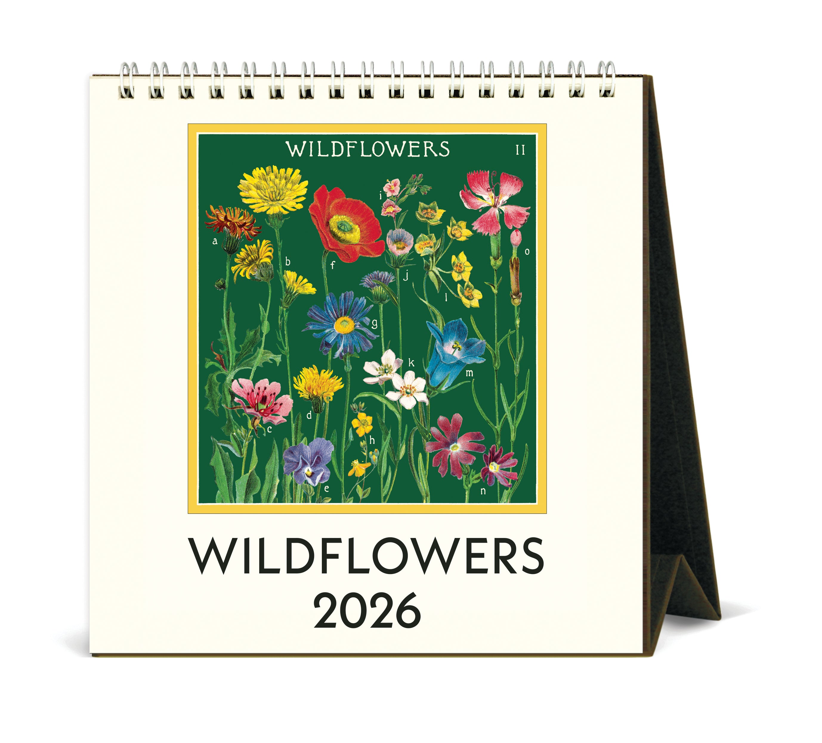 2026 Cavallini & Co. Wildflowers Desk Calendar front cover image