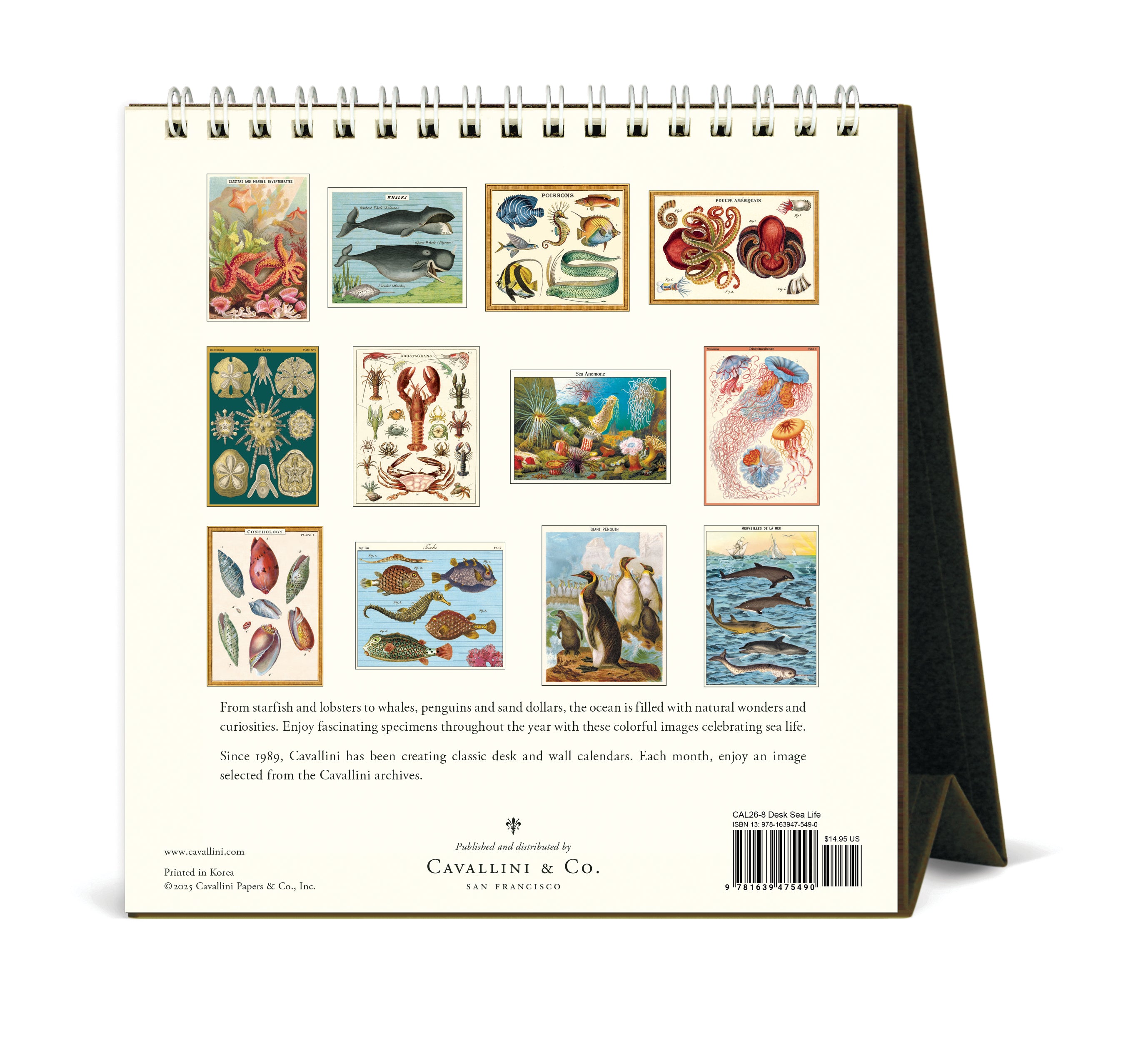 2026 Cavallini & Co. Sea Life Desk Calendar back cover image