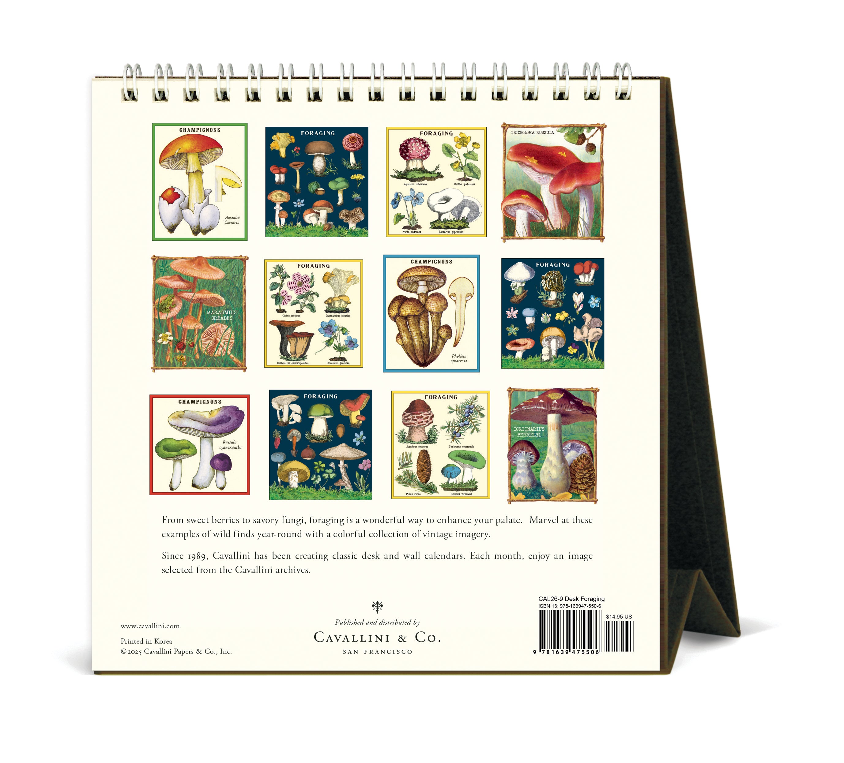 2026 Cavallini & Co. Foraging Desk Calendar back cover image