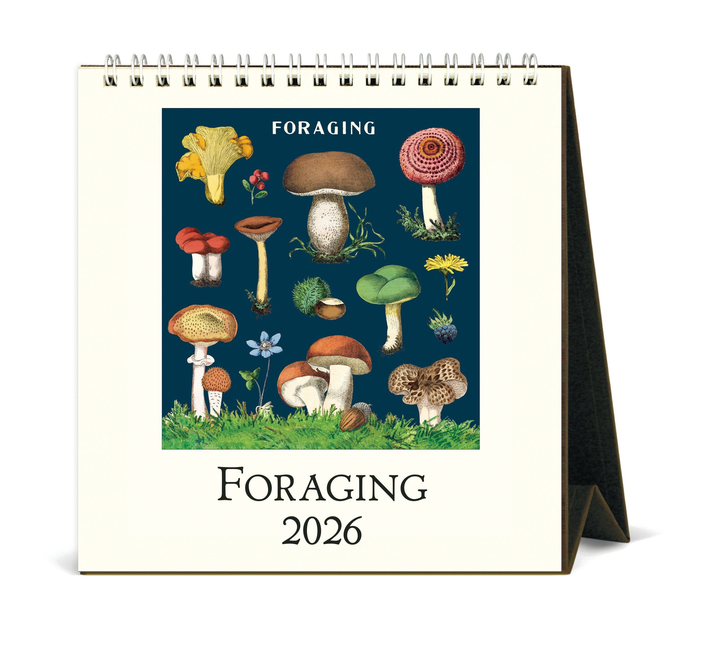 2026 Cavallini & Co. Foraging Desk Calendar front cover image