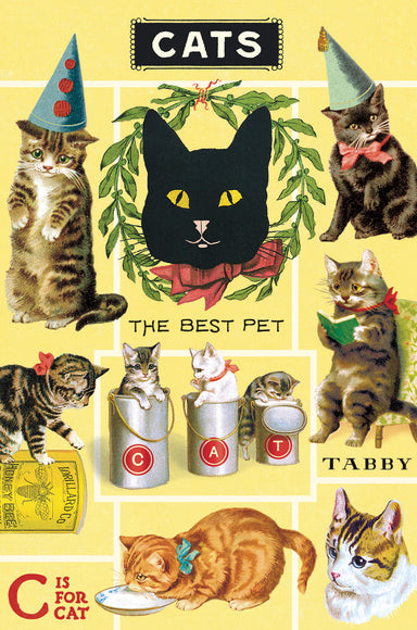 Included postcard example- Collage of cats in various poses with text and graphics on a yellow background