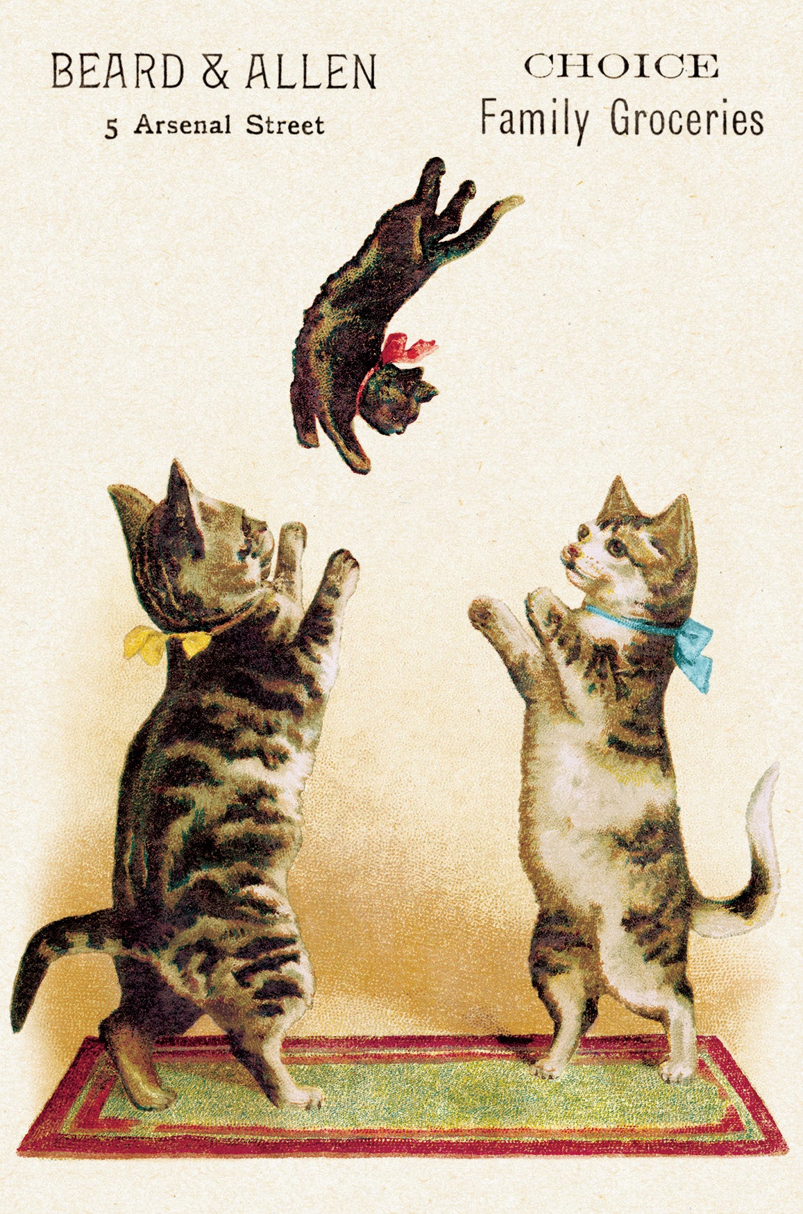 Included postcard example- Vintage-style advertisement with two cats on a rug and a third cat leaping above, featuring the brand 'Beard & Allen'.